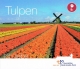 Pays-Bas Série Euro 2017 - Salon Numismatique de Berlin - Tulipes - © Zafira
