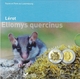 Luxembourg 5 Euro bimétallique Argent / Or nordique - Faune et flore - Eliomys quercinus - Le Lérot 2023 - © Coinf