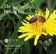 Irlande Série Euro - L'abeille domestique irlandaise 2021 - © Michail