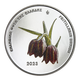 Grèce 5 Euro Argent - Environnement - Flore Endémique de la Grece - Fritillaria Davisii 2023 - © Bank of Greece
